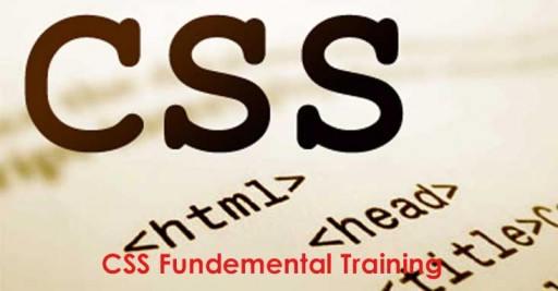 3 hrs CSS Fundamentals Training Course