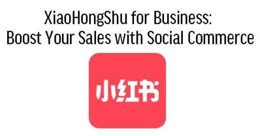 Mailchimp Email Marketing Training in Singapore