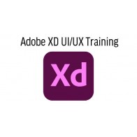 Adobe XD UI/UX Training
