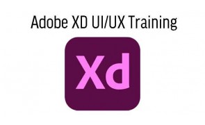 Adobe Photoshop CC Essential Training with instructor guided photoshop tutorials to master photoshop