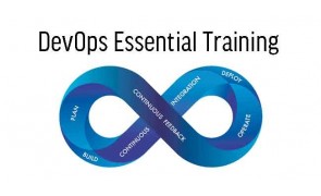 Mailchimp Email Marketing Training in Singapore
