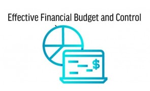 Effective Financial Budget and Control
