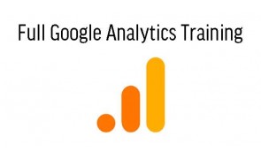 Google Analytics Essential Training with Webmaster Tools