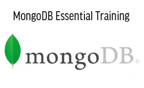 MySQLTutorial Training in Singapore