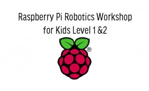 Raspberry Pi Beginner Course in Singapore