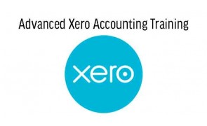 Advanced Xero Accounting Training in Malaysia