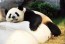 Roots of the Future: A Sichuan – Chongqing Tech & Culture Family’s Education Tour 未来探源: 川渝科技人文亲子研学之旅